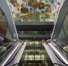 Markthal (Rotterdam)